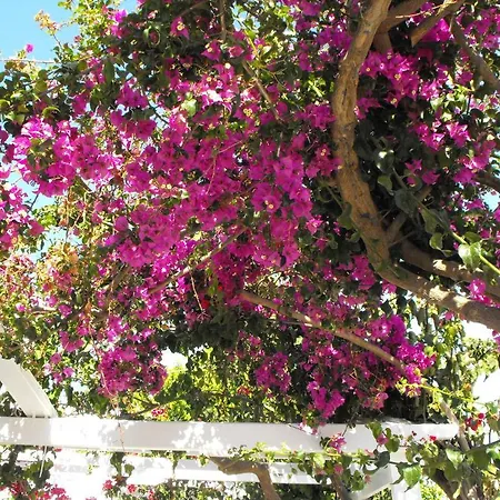 Milos Bay Apartament *