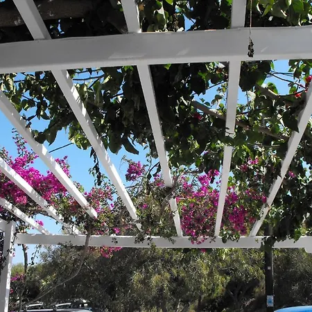 Milos Bay Adamantas (Milos)